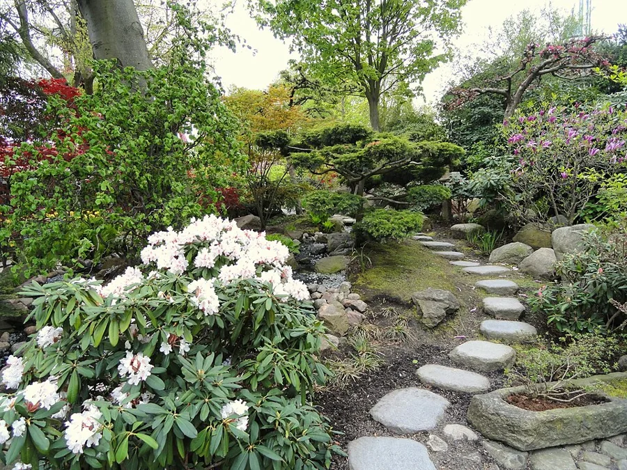 A stone garden path winding through planting